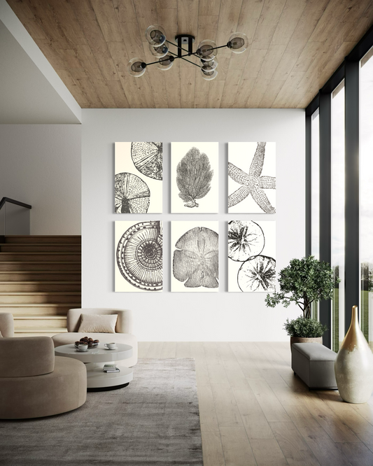 Set de 6 Cuadros Canvas – Sea Life