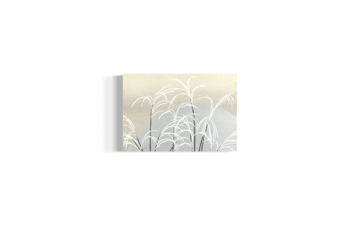 Canvas - Frost from Momoyogusa