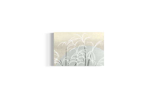 Canvas - Frost from Momoyogusa