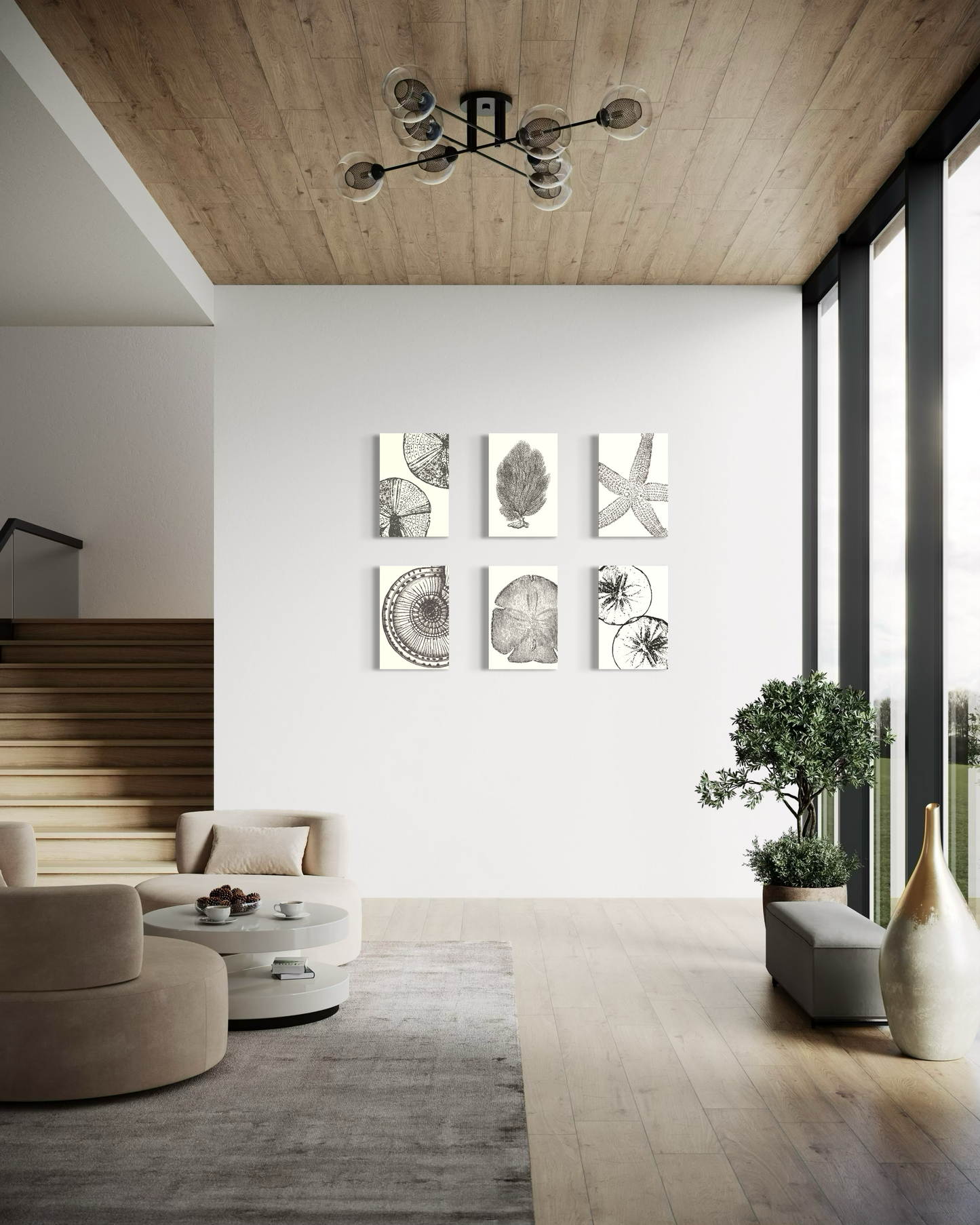 Set de 6 Cuadros Canvas – Sea Life
