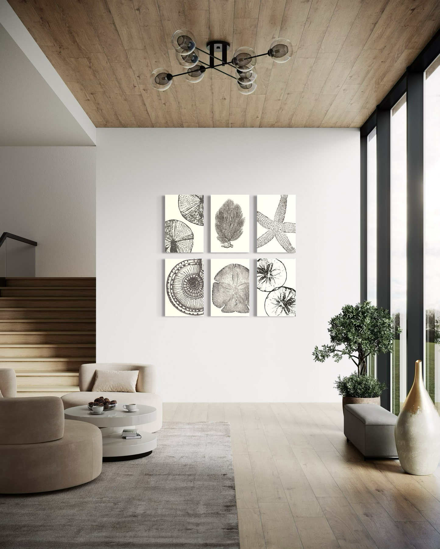 Set de 6 Cuadros Canvas – Sea Life