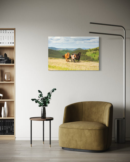 Cuadro Canvas - Caballos