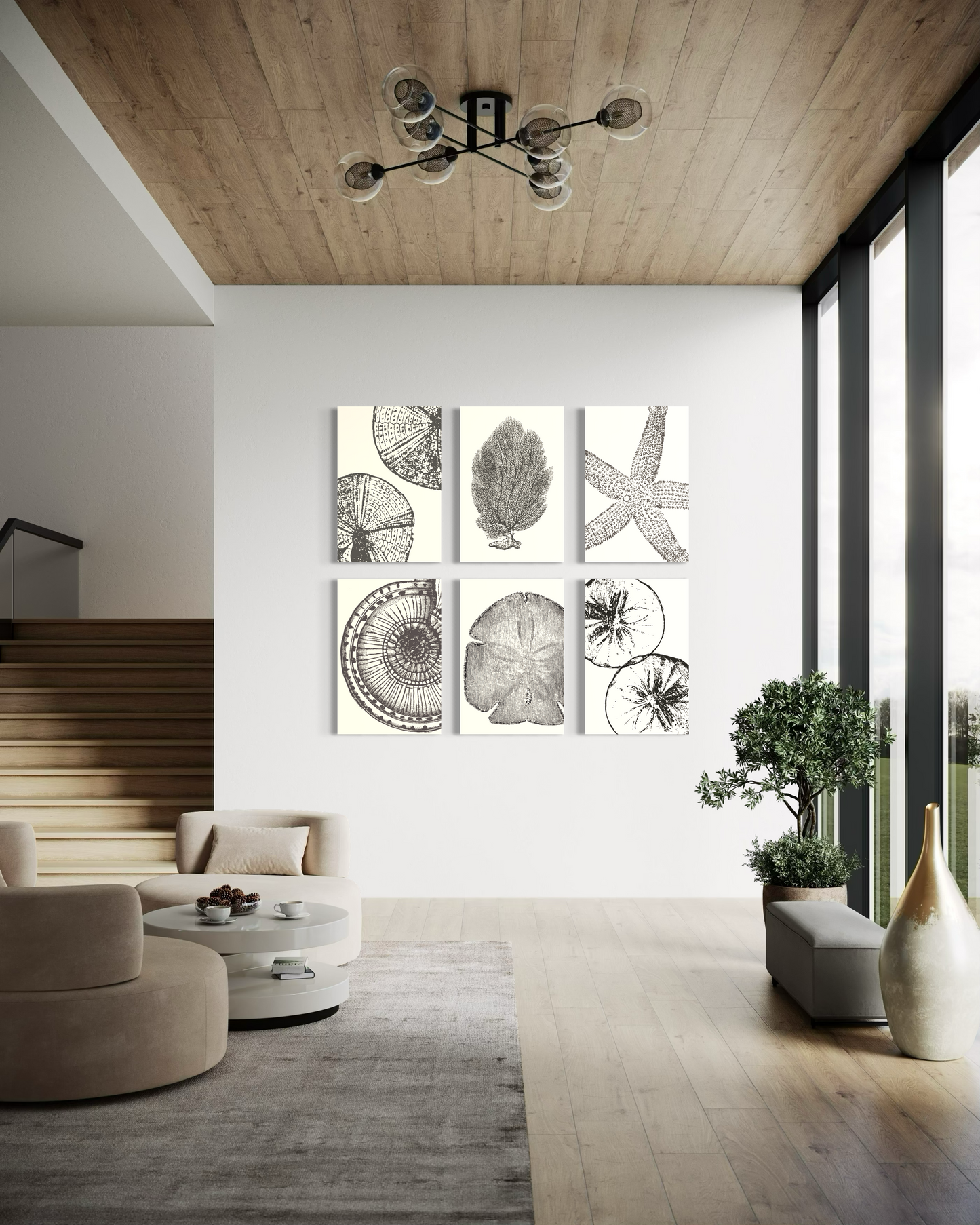 Set de 6 Cuadros Canvas – Sea Life