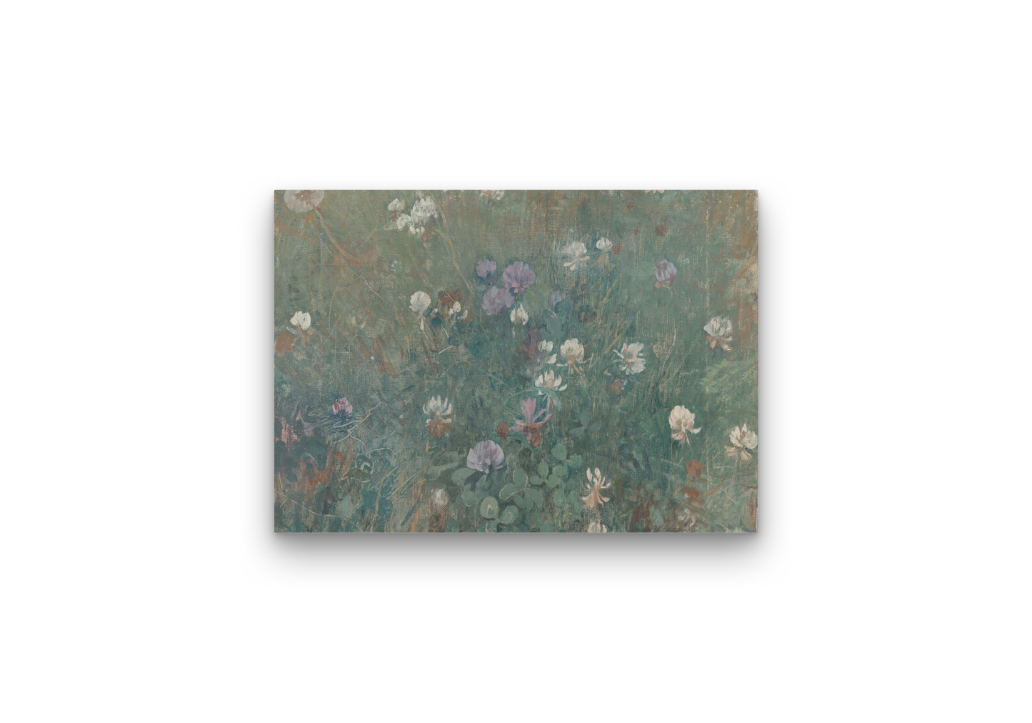 Canvas - Blooming Clover Jac van Looij