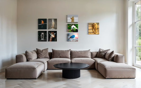 Set de 8 - Canvas Personalizados