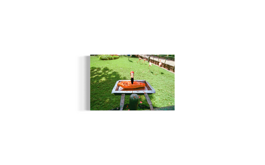Canvas - Flamingos y Papayas